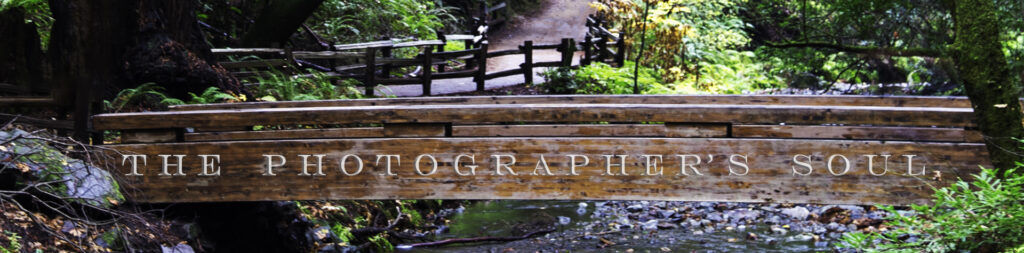 Bridge Muir Woods