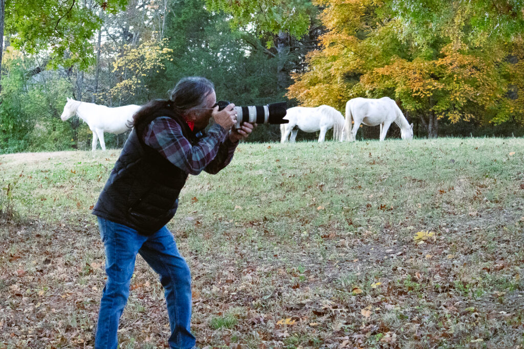 Photographer and wild horses