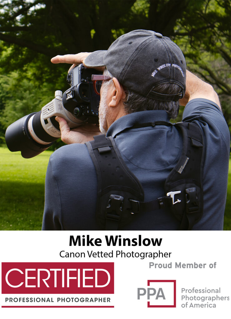 Professional Photographer working